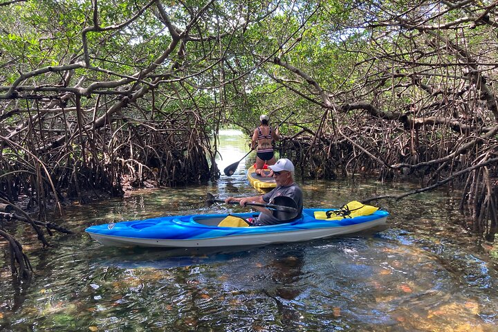 Half Day Kayak Rental to John's Pass Sandbar & Mangrove Tunnel - Photo 1 of 13